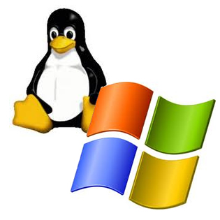 Linux or Windows?