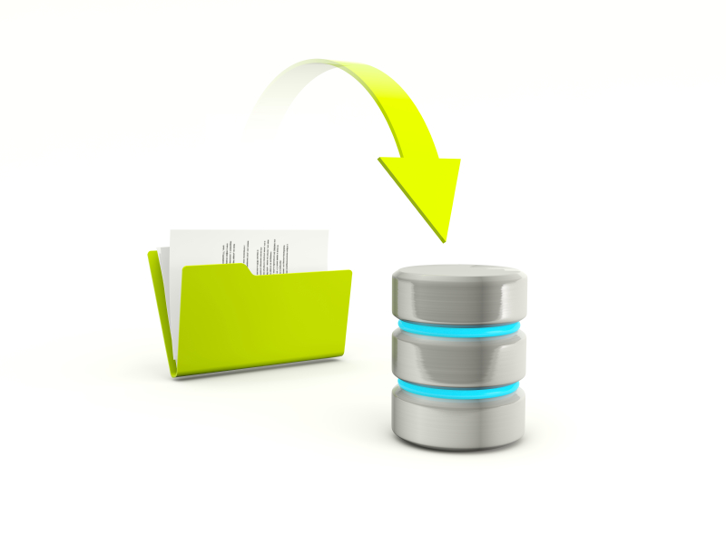 Keep your website safe with our daily backup service